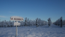 Sous la neige à Recougne